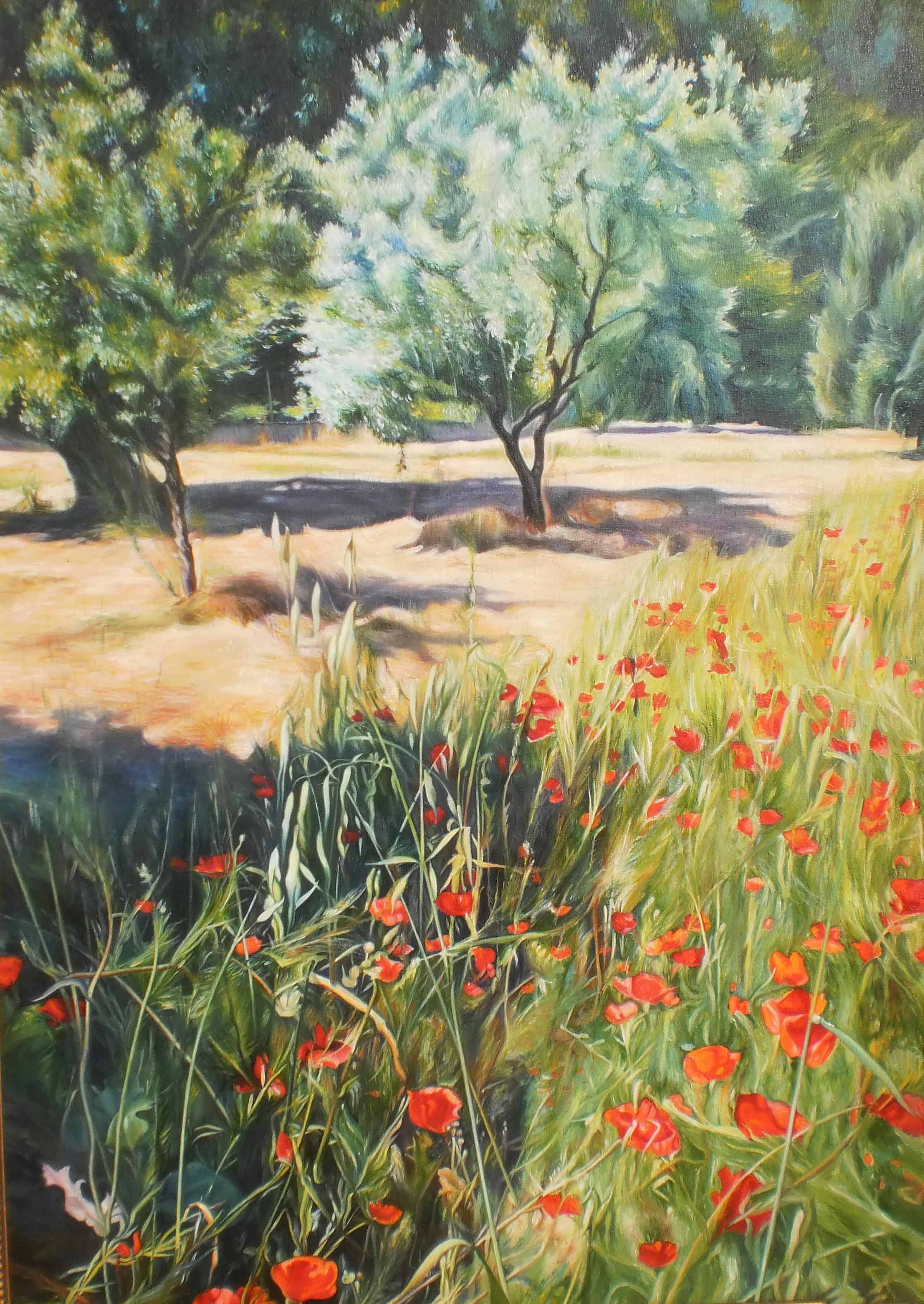 -Poppy flowers and olive trees- Dimensions: 50cm x 70cm